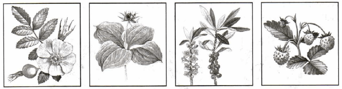 Задание рисунок 1