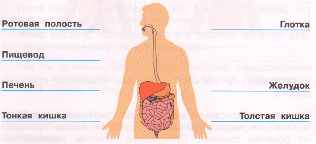 Задание рисунок 1