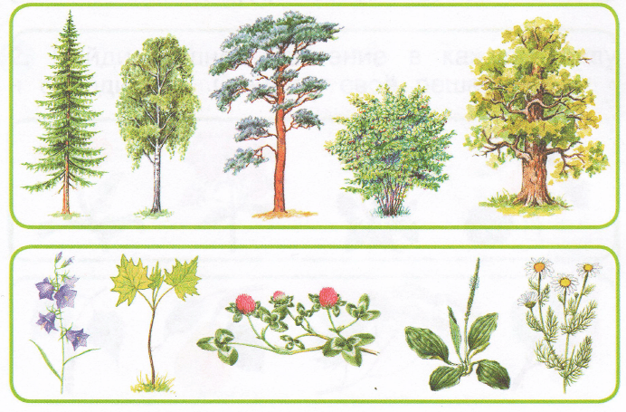 Задание рисунок 1