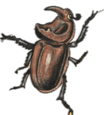 Решение рисунок 1