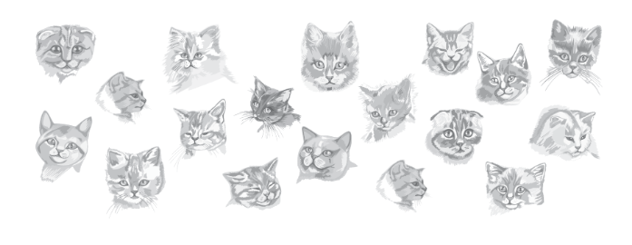 Задание рисунок 1