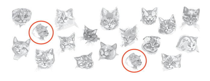 Решение рисунок 1